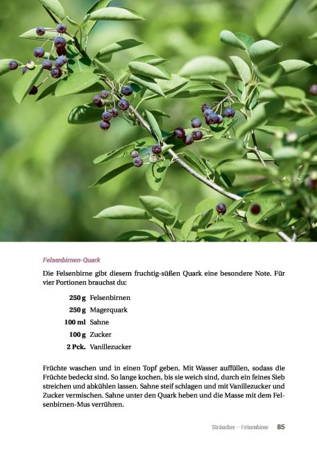 additionalImage16