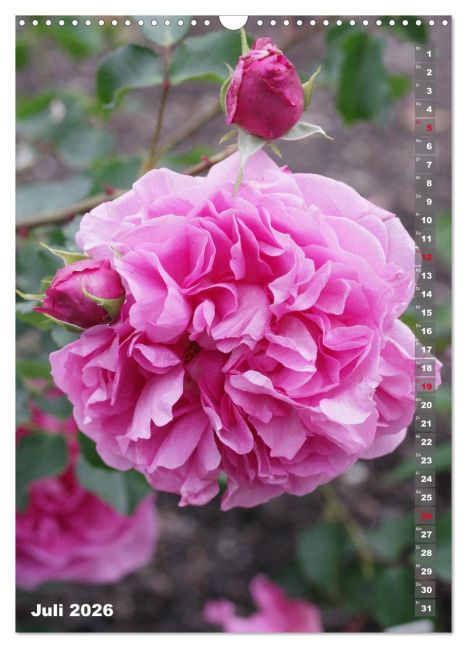 additionalImage12