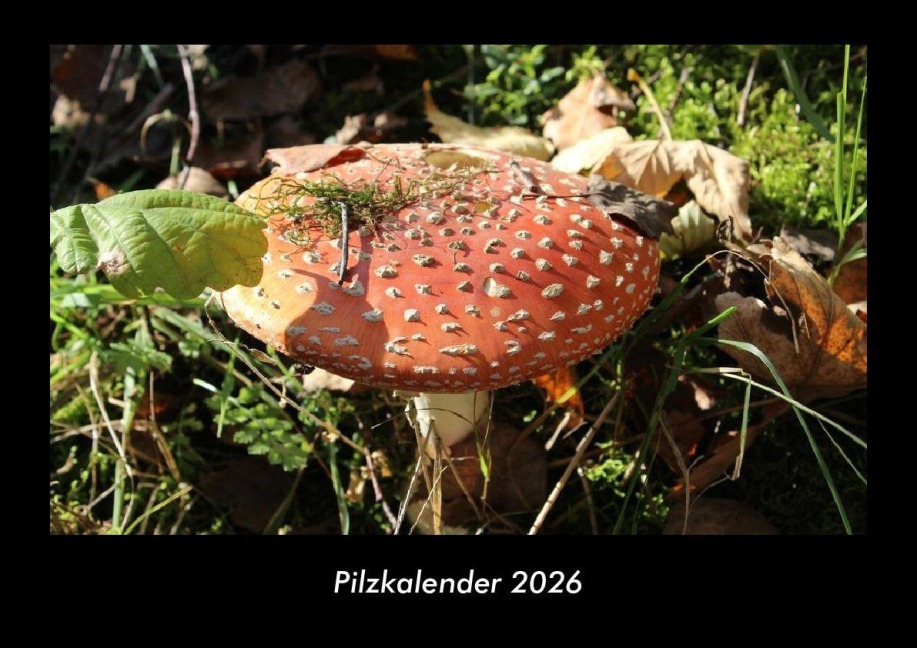 Pilzkalender 2026 Fotokalender DIN A3 - Tobias Becker
