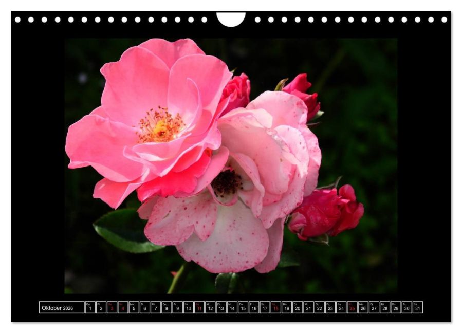 additionalImage2