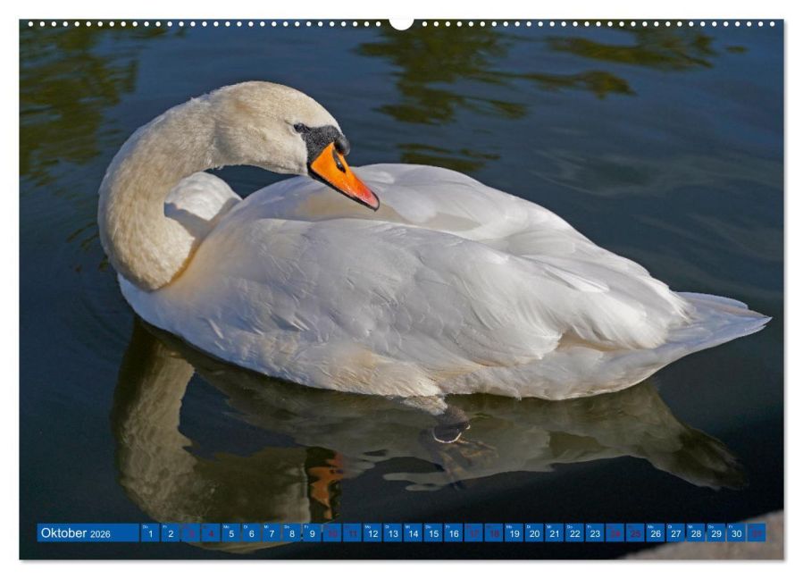 additionalImage1