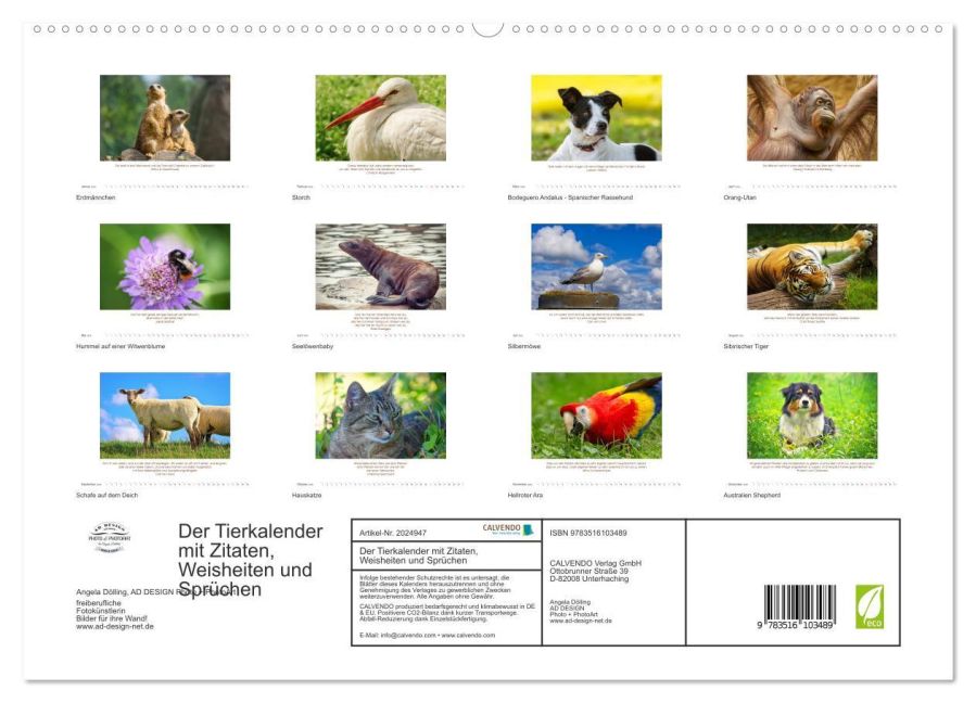 additionalImage4
