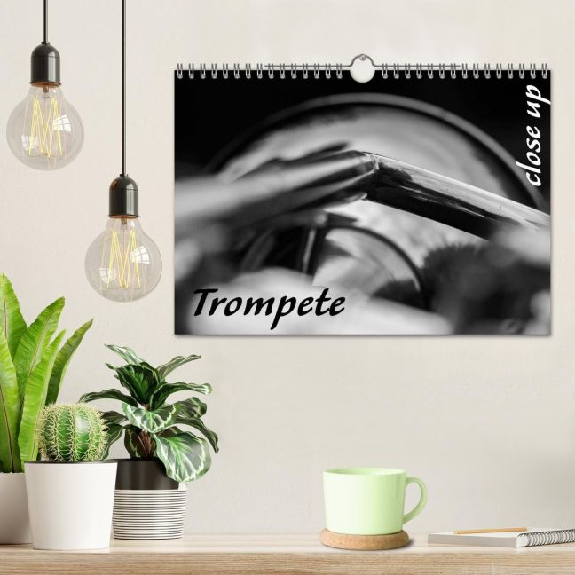 additionalImage1