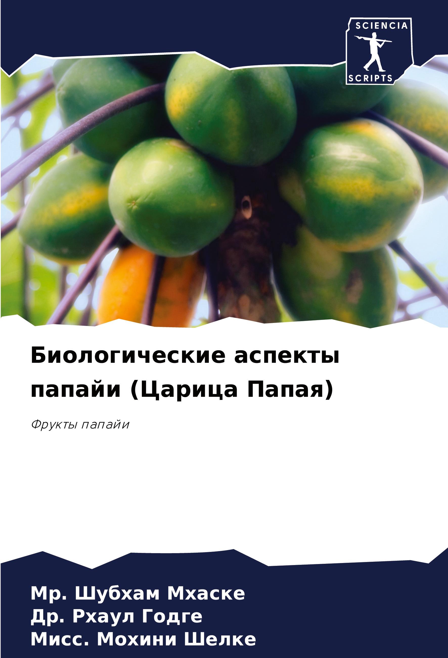 9786207266357