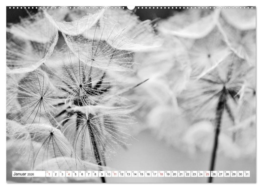 additionalImage6