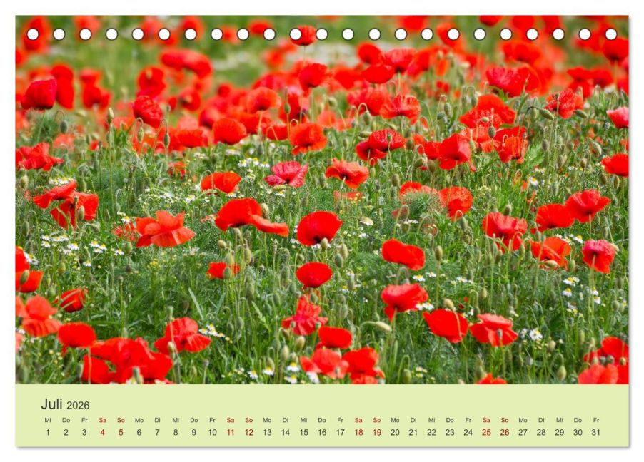 additionalImage12