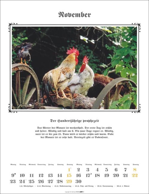 additionalImage11