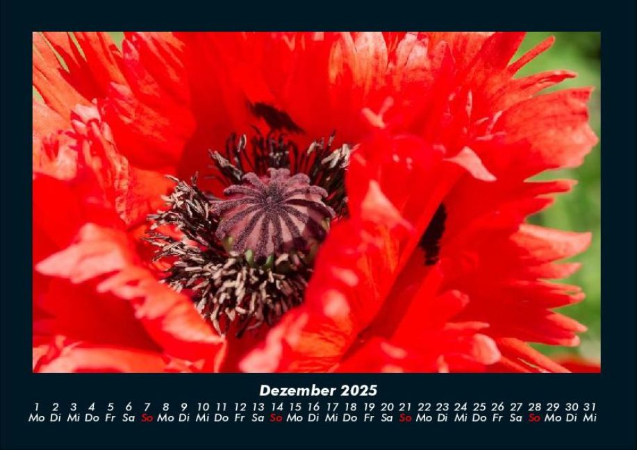 additionalImage4