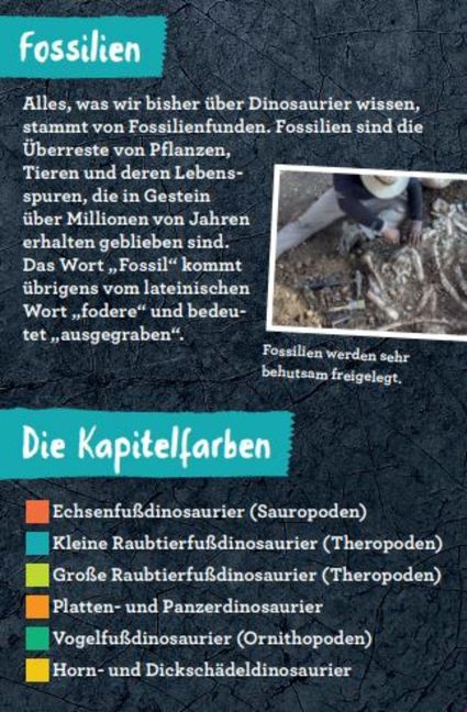 additionalImage8