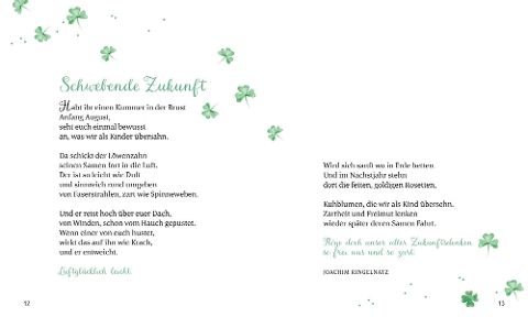 additionalImage2