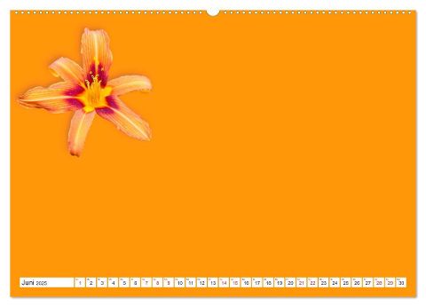 additionalImage10