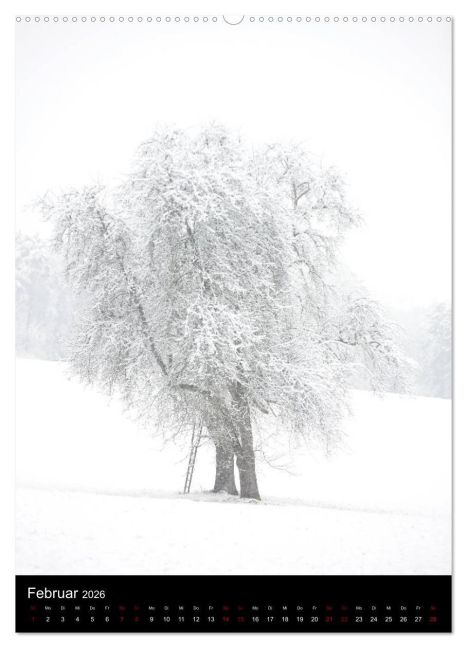 additionalImage6