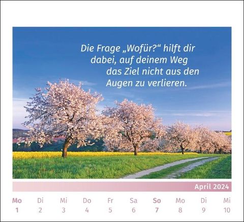 additionalImage12