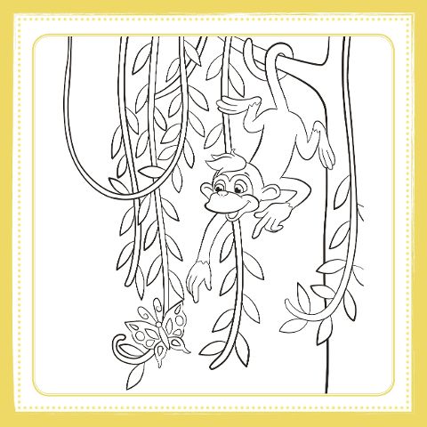 additionalImage3