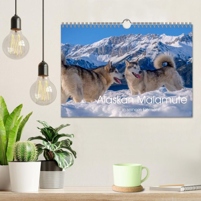 additionalImage1