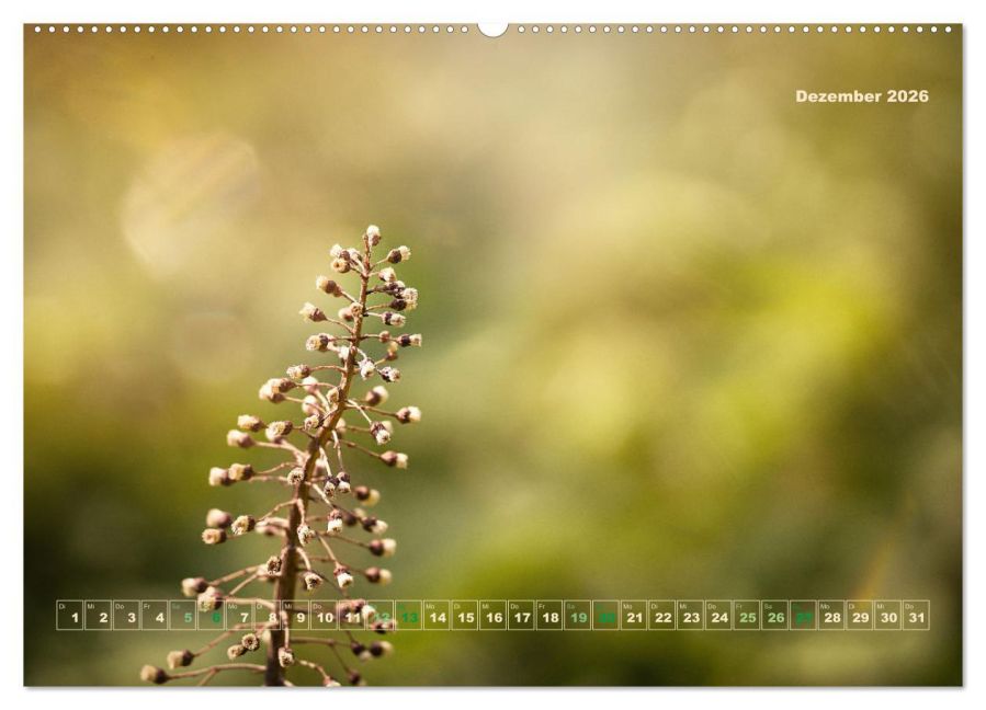 additionalImage4
