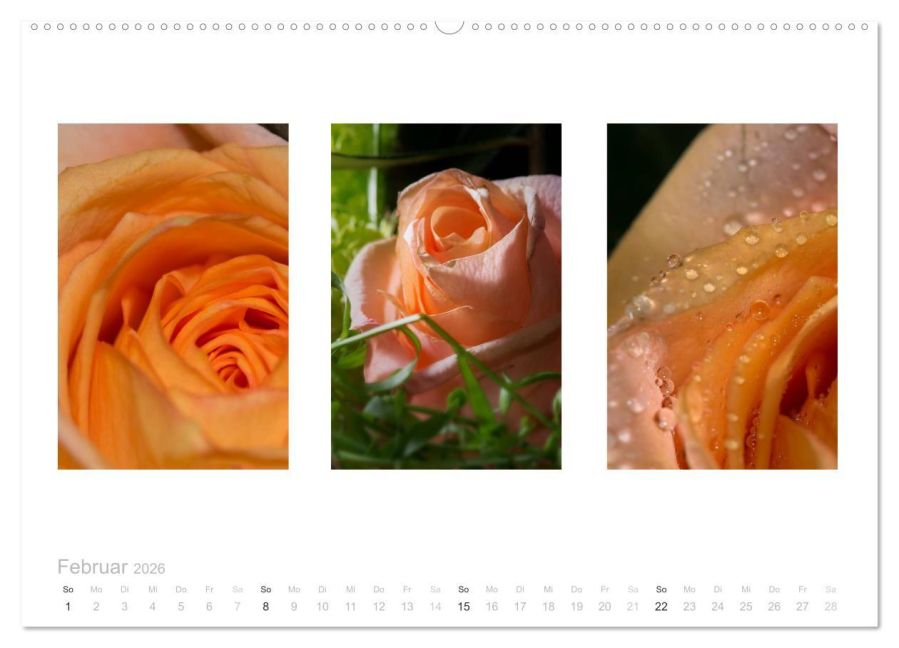 additionalImage7