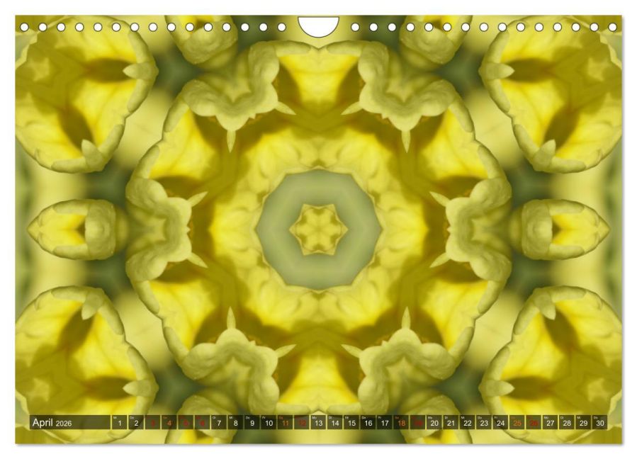 additionalImage9