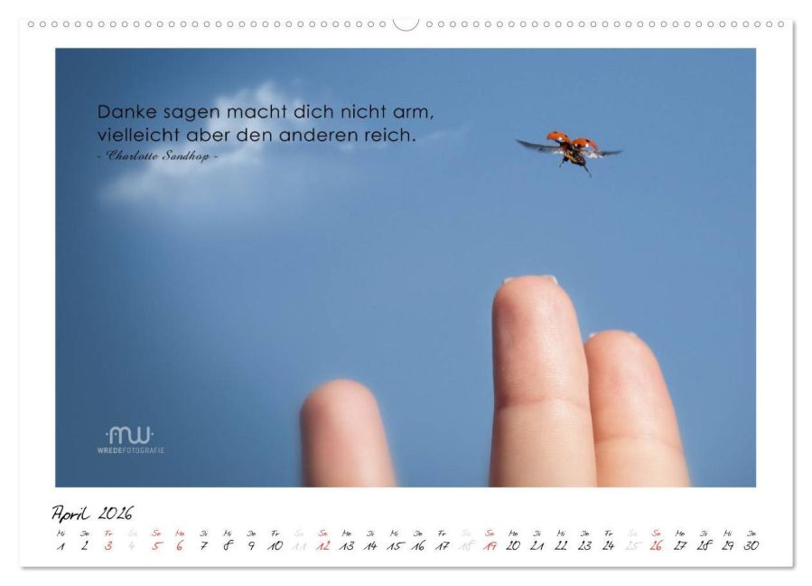 additionalImage8