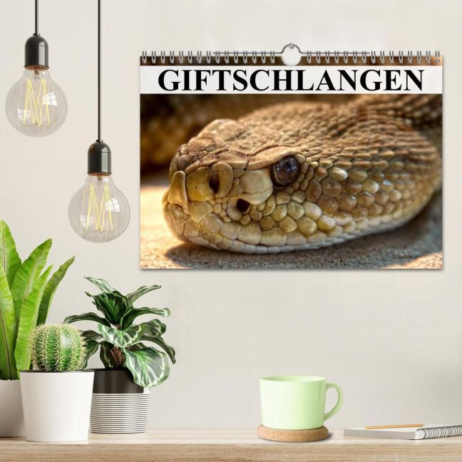 additionalImage1