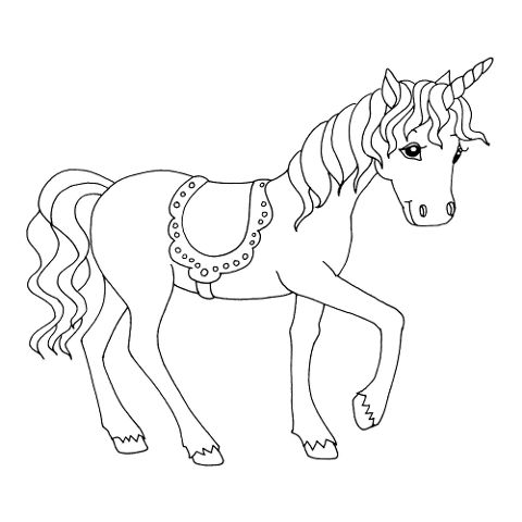 additionalImage2