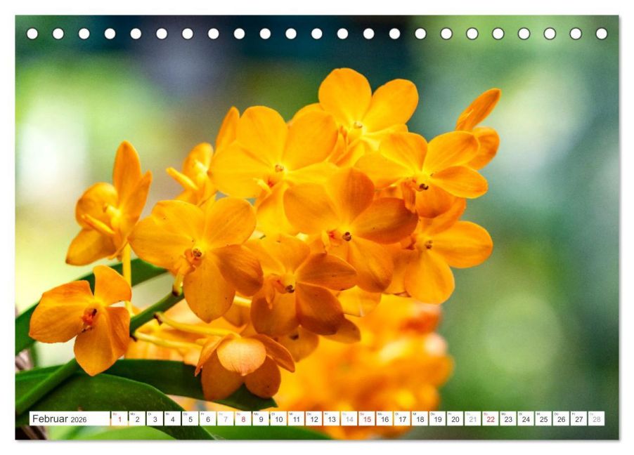 additionalImage7