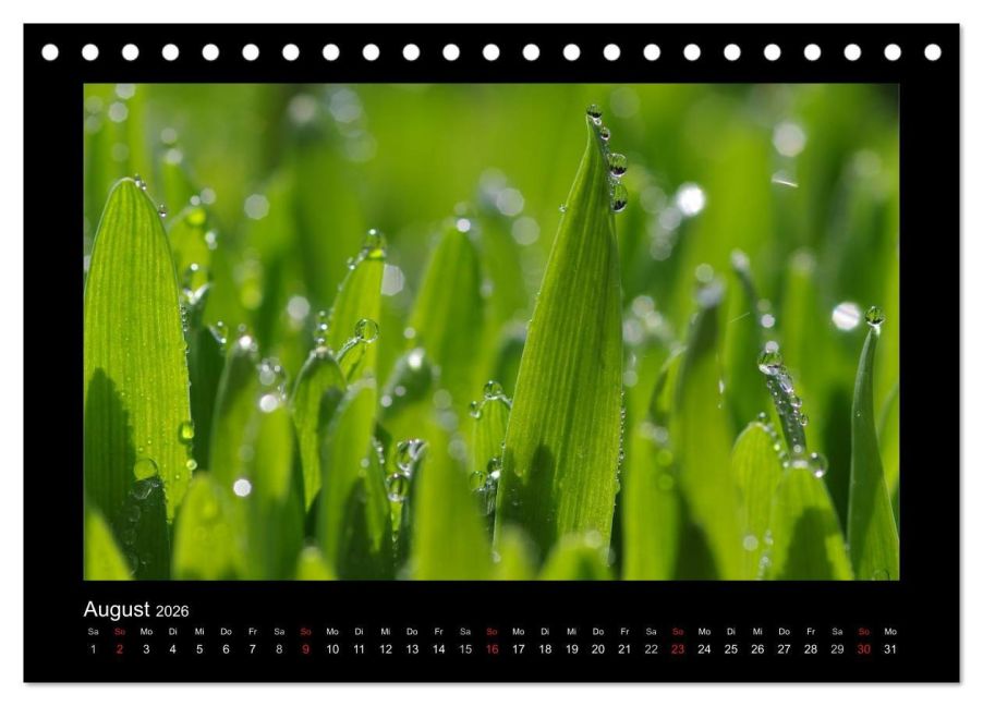 additionalImage13