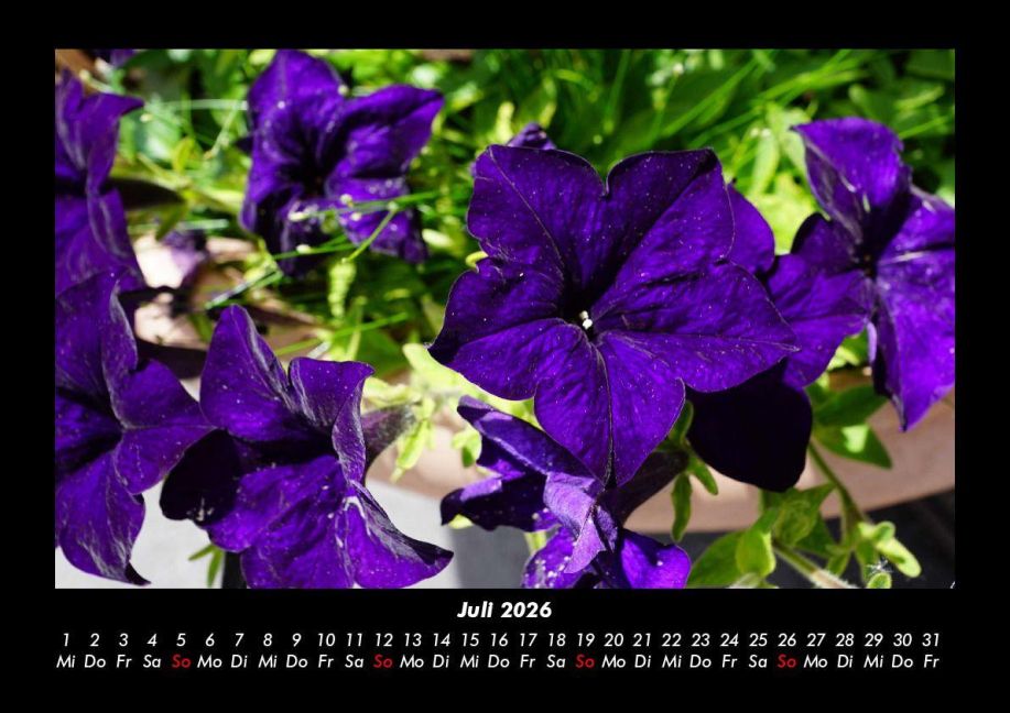 additionalImage11