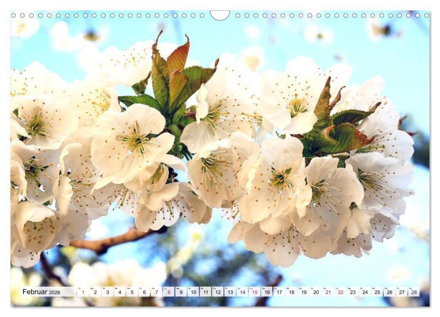 additionalImage7