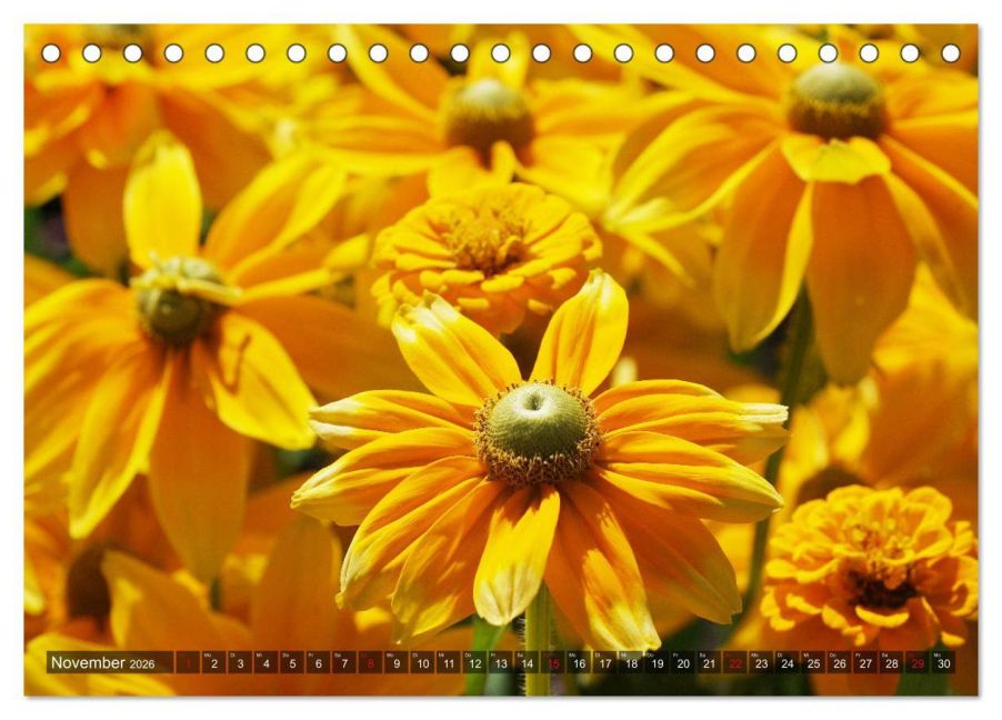 additionalImage3