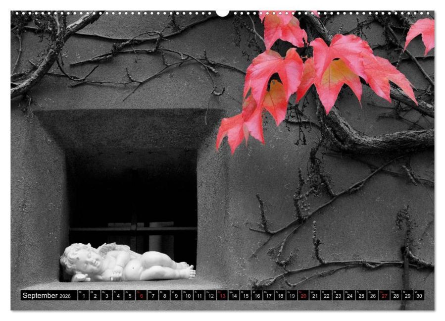 additionalImage14