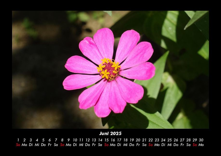 additionalImage10