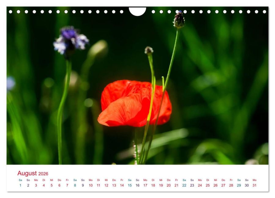 additionalImage13