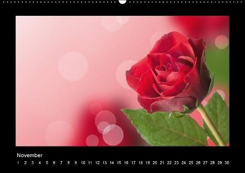 additionalImage11