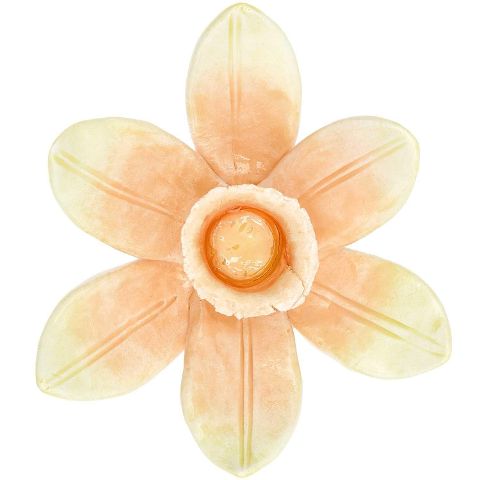 additionalImage1