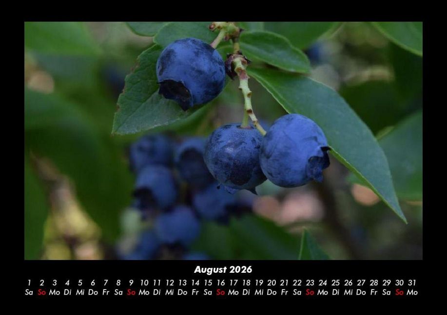 additionalImage12