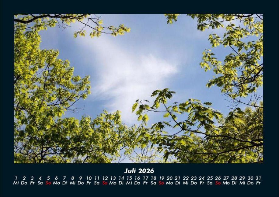 additionalImage11