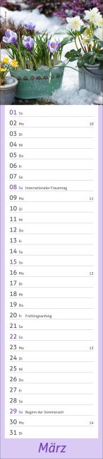 additionalImage3