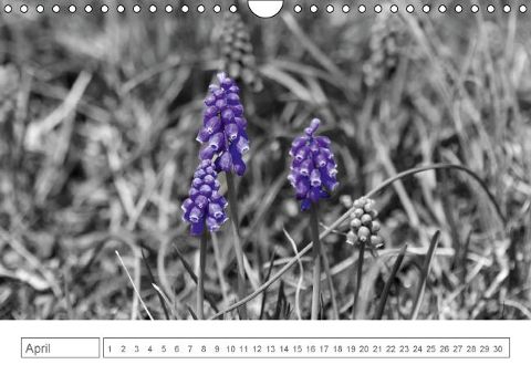 additionalImage4