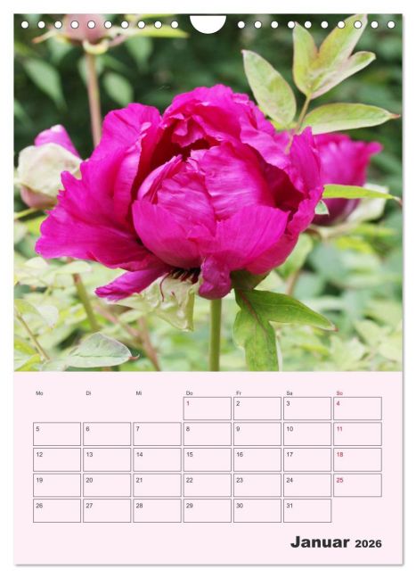additionalImage6