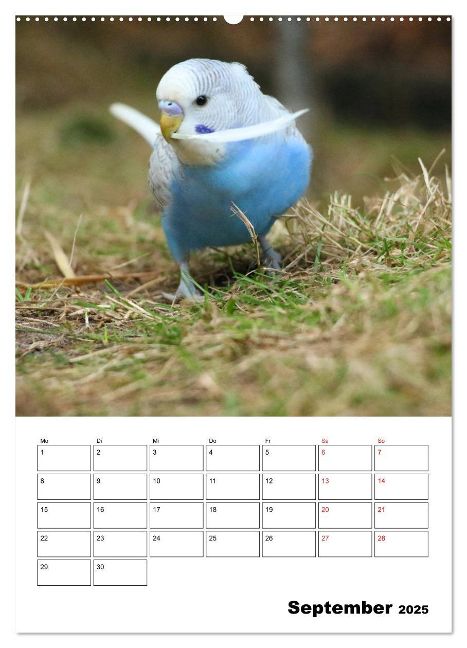 additionalImage13