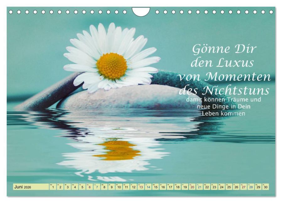 additionalImage11