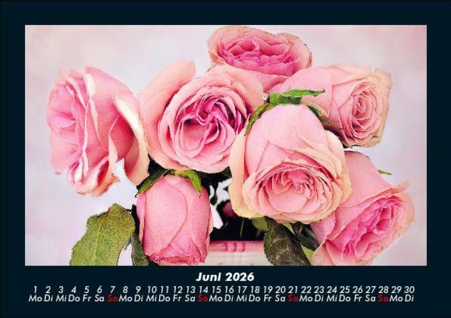 additionalImage10
