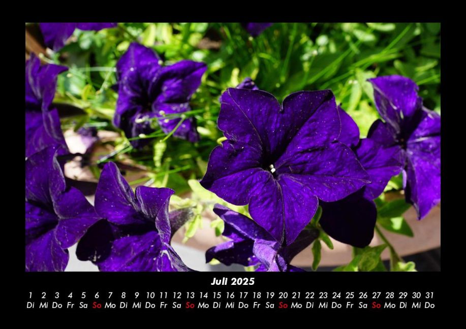 additionalImage11