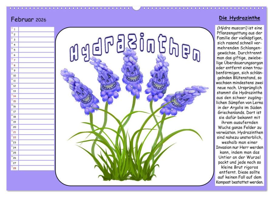 additionalImage7