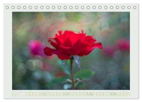 additionalImage12