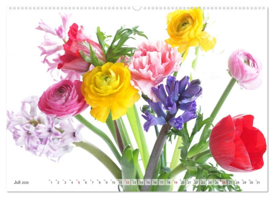 additionalImage12