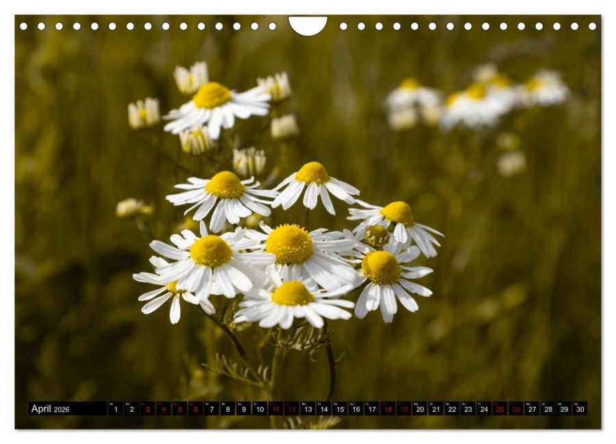additionalImage9