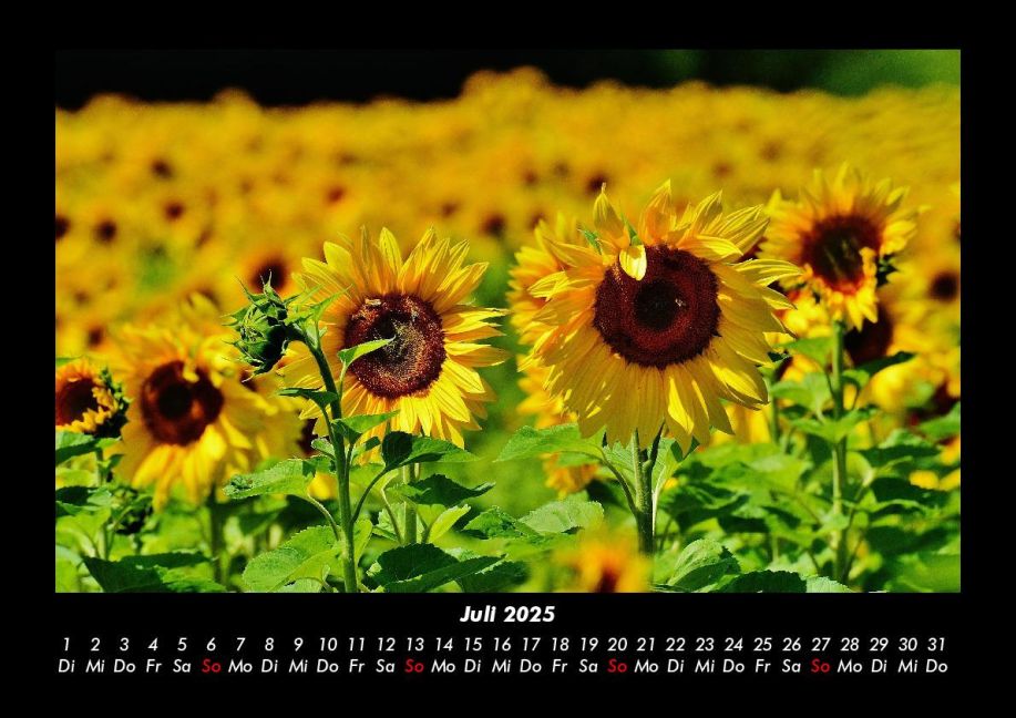 additionalImage11