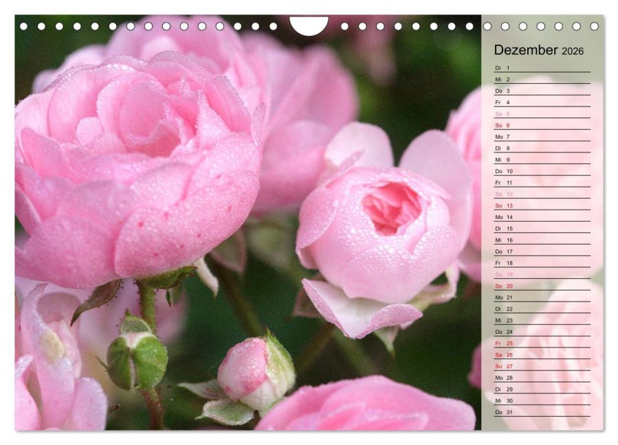 additionalImage4